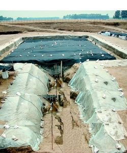 定陶汉墓最新探索，千年古墓新发现揭秘！