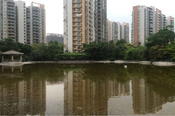 三水恒达花园最新楼盘，现代都市理想居住地