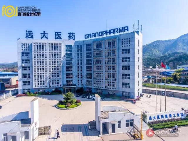 阳新打拱最新版，魅力与优势概览