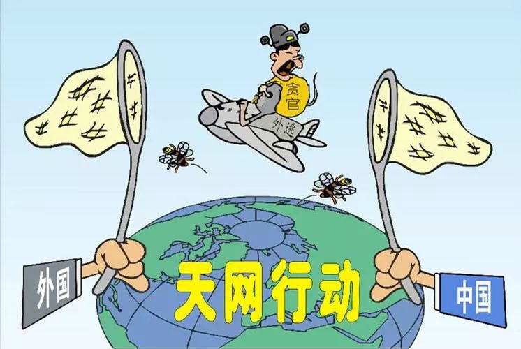 2017年法网赛场动态与热点解析，最新消息一览