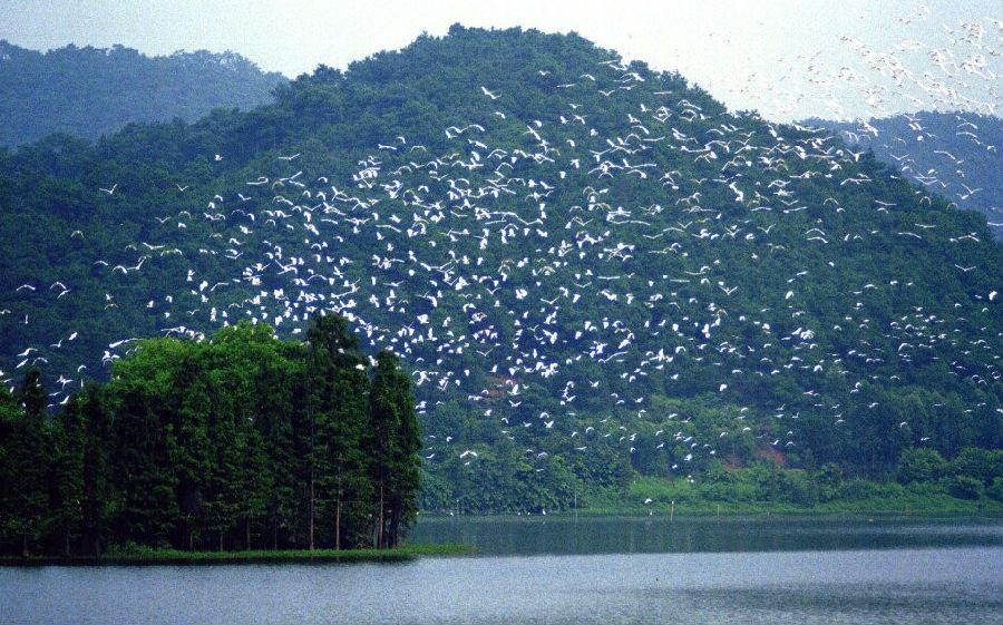 贵州玉明湖,贵州玉明湖，专业说明解析