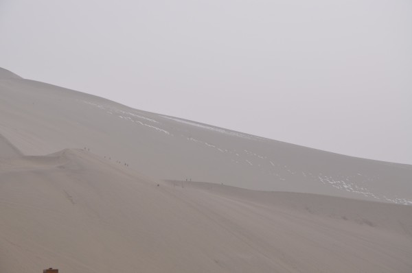 敦煌之行，鞋套需求与高效评估方法解析