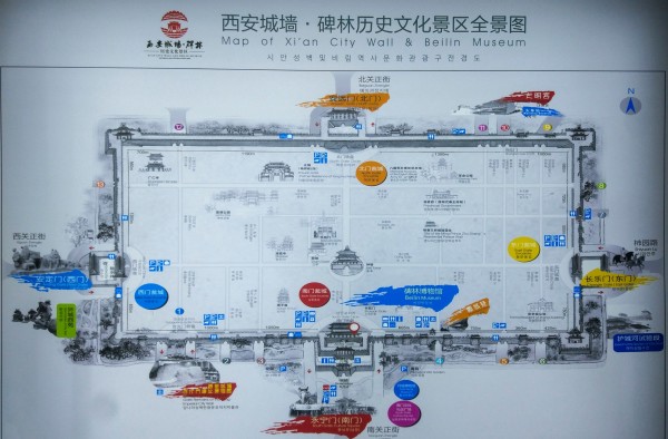 2024年10月20日 第7页