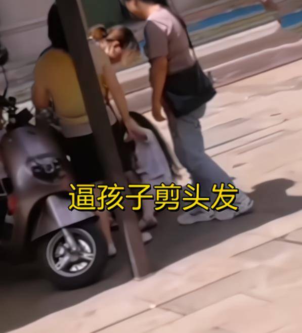 男子为讹钱抛女致身亡事件解析，惨痛悲剧背后的法理与人伦探讨