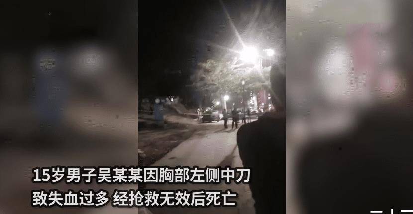 美国15岁男孩室内开枪杀死5人,美国15岁男孩室内开枪致五人身亡，悲剧背后的深思