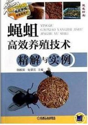 最新的蝇蛆养殖视频,一、蝇蛆养殖概述