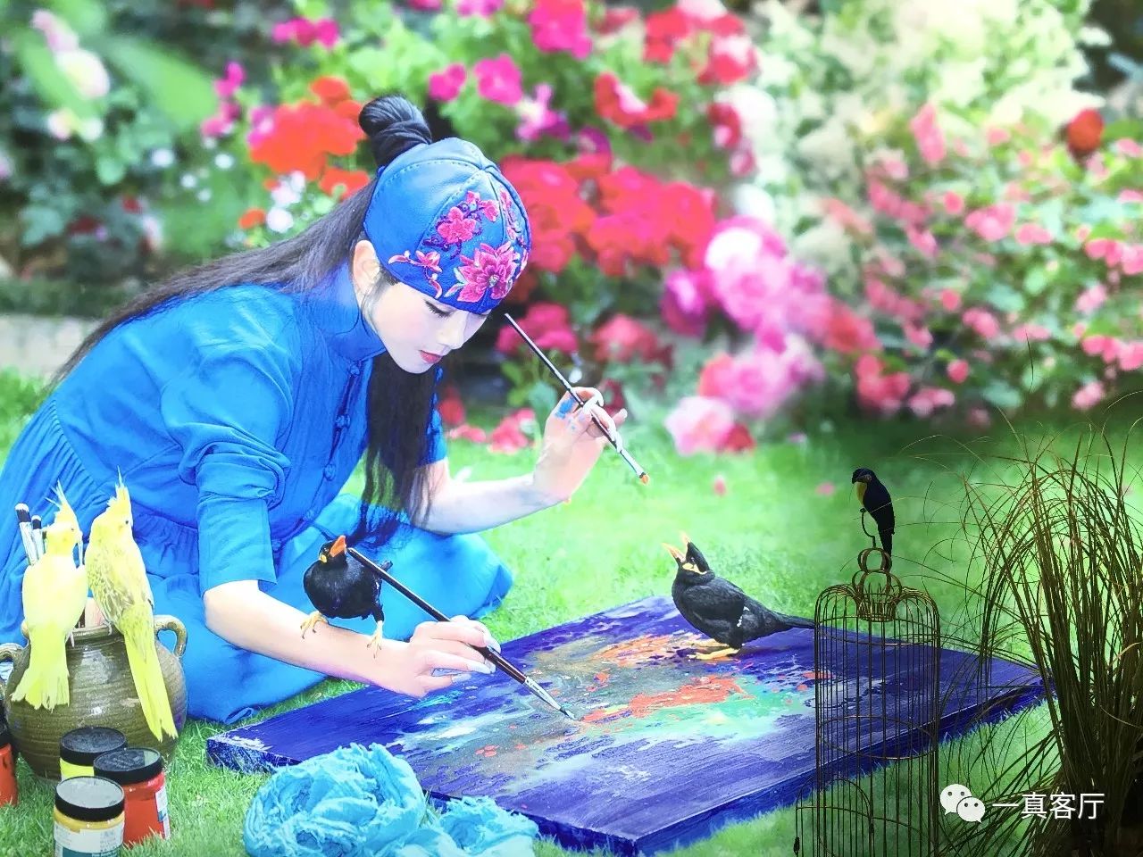 杨丽萍最新动态,杨丽萍的艺术生涯