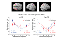 体内谢精最新视频,关于体内谢精概念的解析