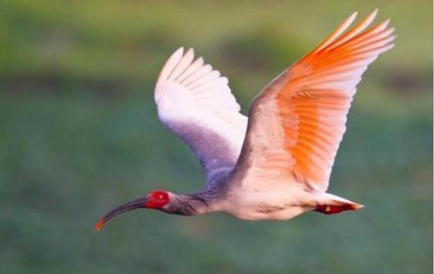 2024年10月25日 第48页