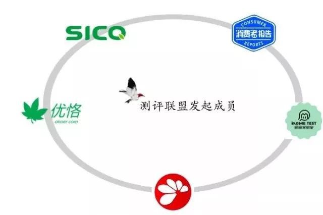 2024年10月25日 第45页