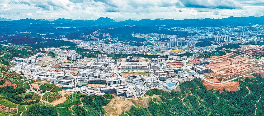 花开无言 第115页