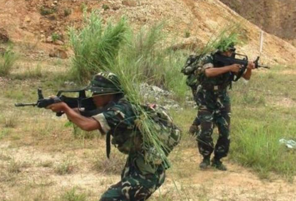 我是特种兵最新概述，特种兵概念解析与特点揭秘