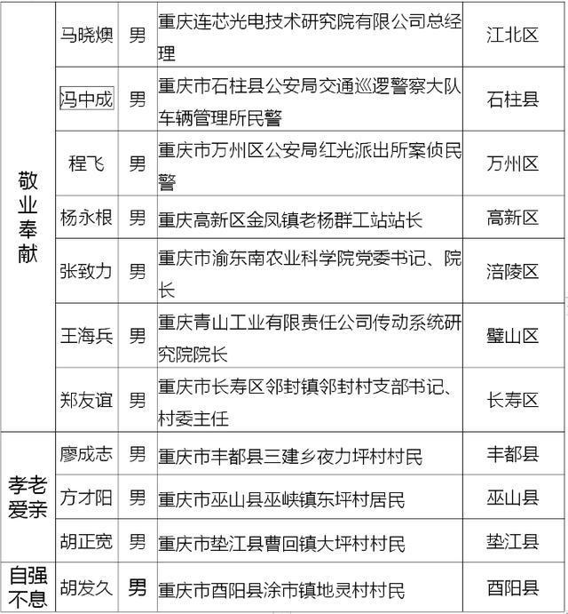重庆市领导最新分工概况，最新分工调整及职责概述