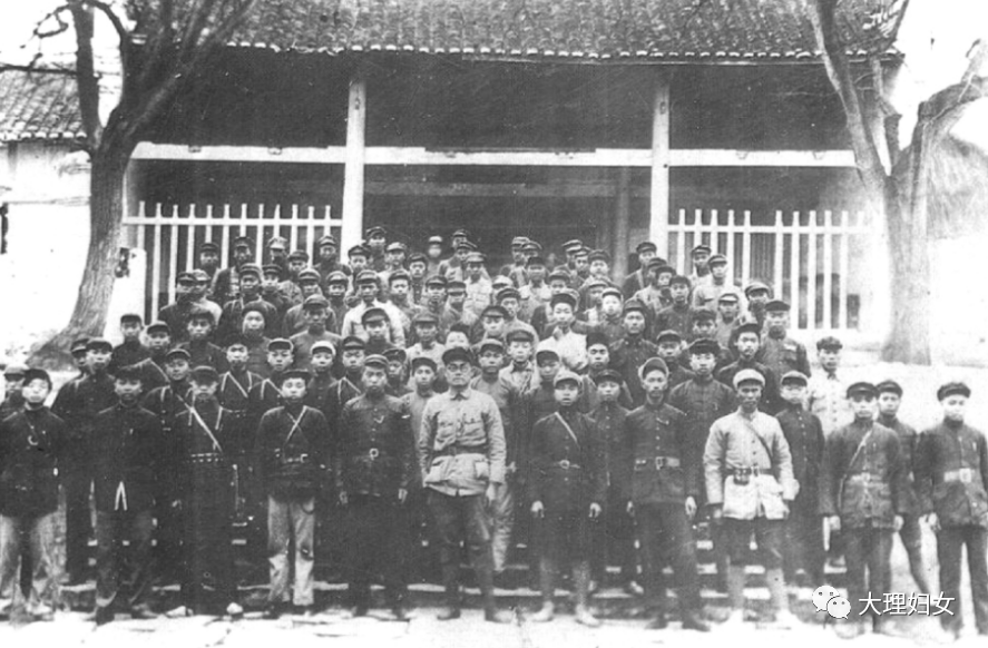 兵团干部最新消息概览，概况与动态分析