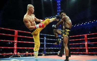 甄子丹影视传奇，电影全集最新探寻功夫巨星之路