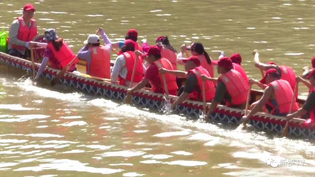 温州龙舟比赛最新动态，起源与发展探索