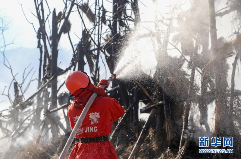 甘肃王三云事件最新消息及背景概述