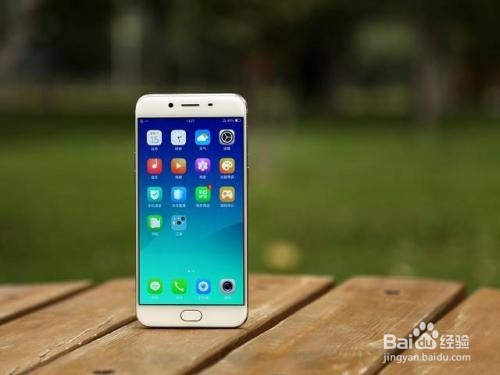 Oppo R9s最新系统更新，与自然共舞，探索心灵桃花源