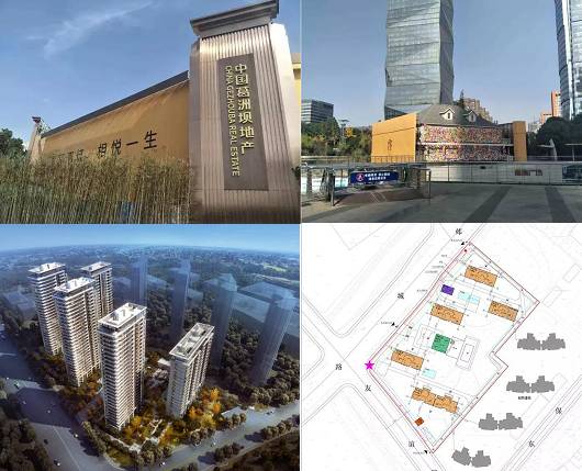 天津武清最新发展动态，小巷深处的独特风味与隐藏宝藏小店揭秘