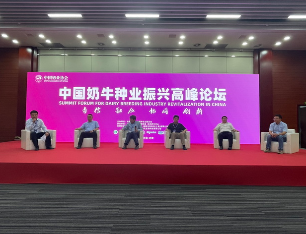 泗阳李大明引领科技新纪元，深度解析高科技产品最新消息