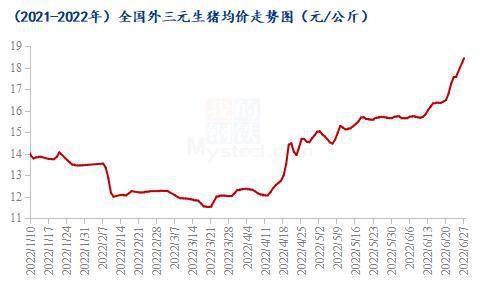 智能预测系统引领新纪元，最新生猪价格预测与市场风向分析（XX月XX日）