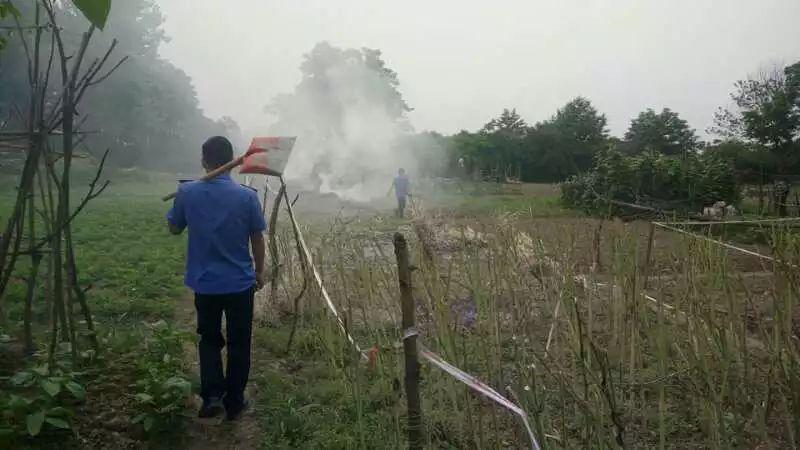 四川南充人事调整动态，最新人事调整解析与观察