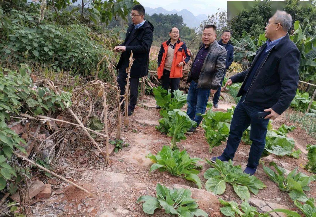 2024年10月27日 第23页