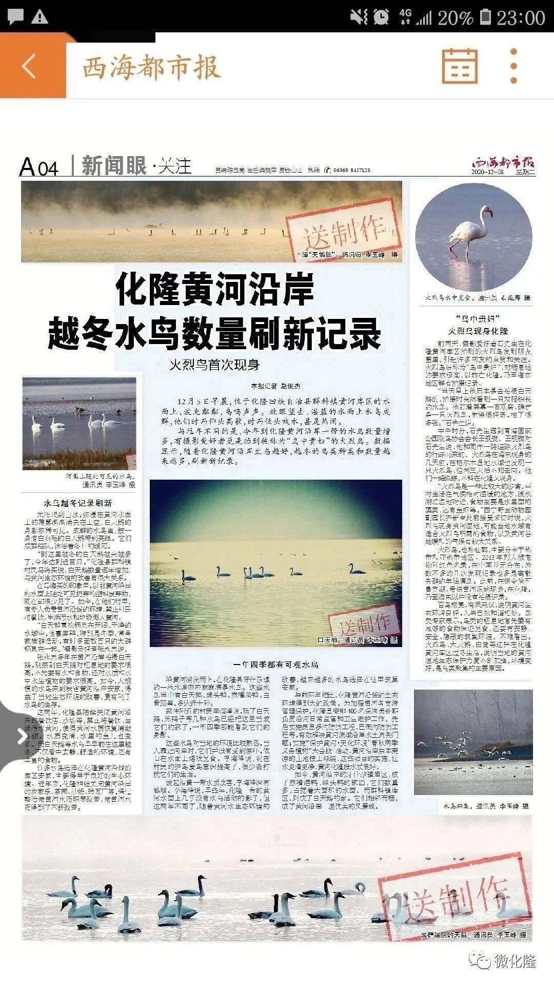 青海化隆最新新闻热议，探析某某观点的立场与背后逻辑