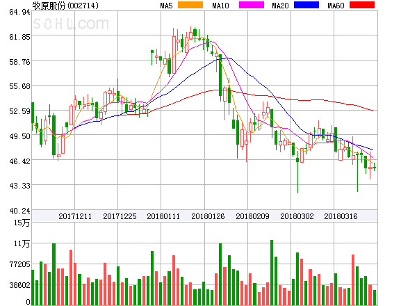 曙光股份背后的温馨日常，友谊与陪伴的故事最新消息揭秘