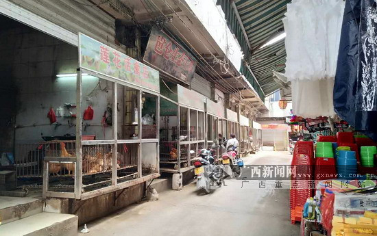 河池金城江最新科技动态，智能新品亮相引领未来生活潮流