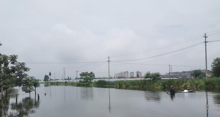 曹县一环水系最新进展，水边的温馨日常与家的温暖故事揭秘