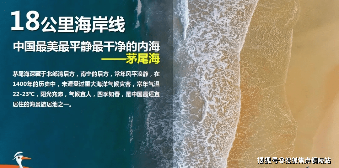 2024年10月28日 第33页