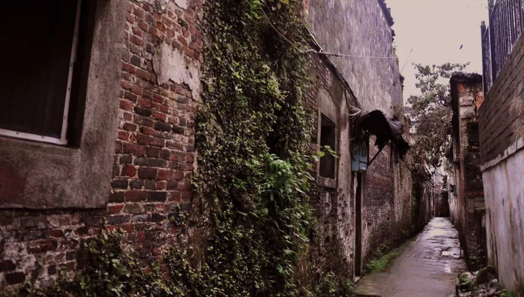 梁宏达带你探秘小巷深处的独特小店，领略隐藏的小店魅力