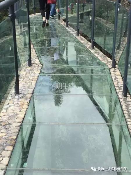 揭秘玻璃秘境，最新研究的独特魅力与小巷深处的探索