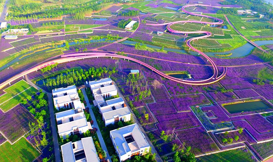 宿迁高速，温馨时光与速度的完美交融之旅