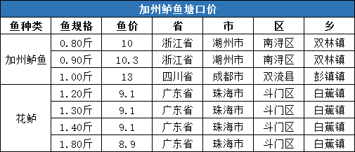 最新分析，28日虾市场走势洞察 - 价格预测与案例解读