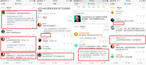 第28版电影软件深度解析，功能亮点与用户体验探索