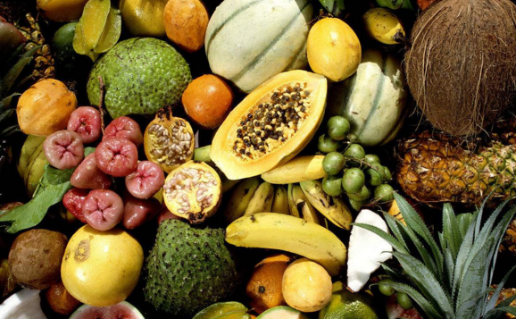 2024年10月28日 第23页