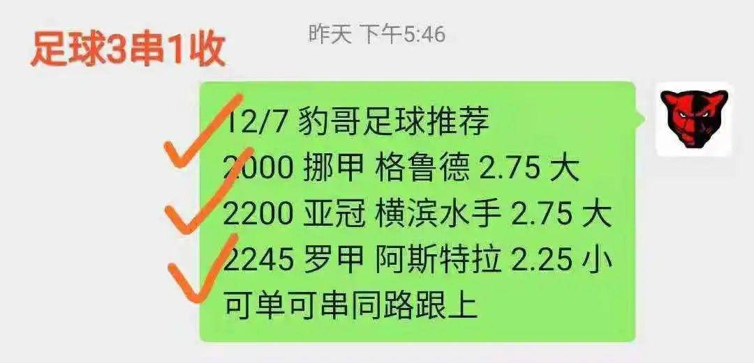 赛米最新日常，温馨趣事与友情纽带在行动中的故事（28日更新）