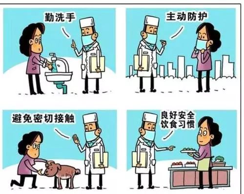 疫情谣言与家庭趣事，一则温馨的故事在谣言中绽放