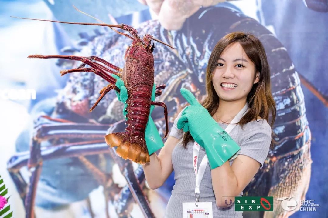 揭秘泉宝最新动态与市场趋势，最新资讯尽在掌握