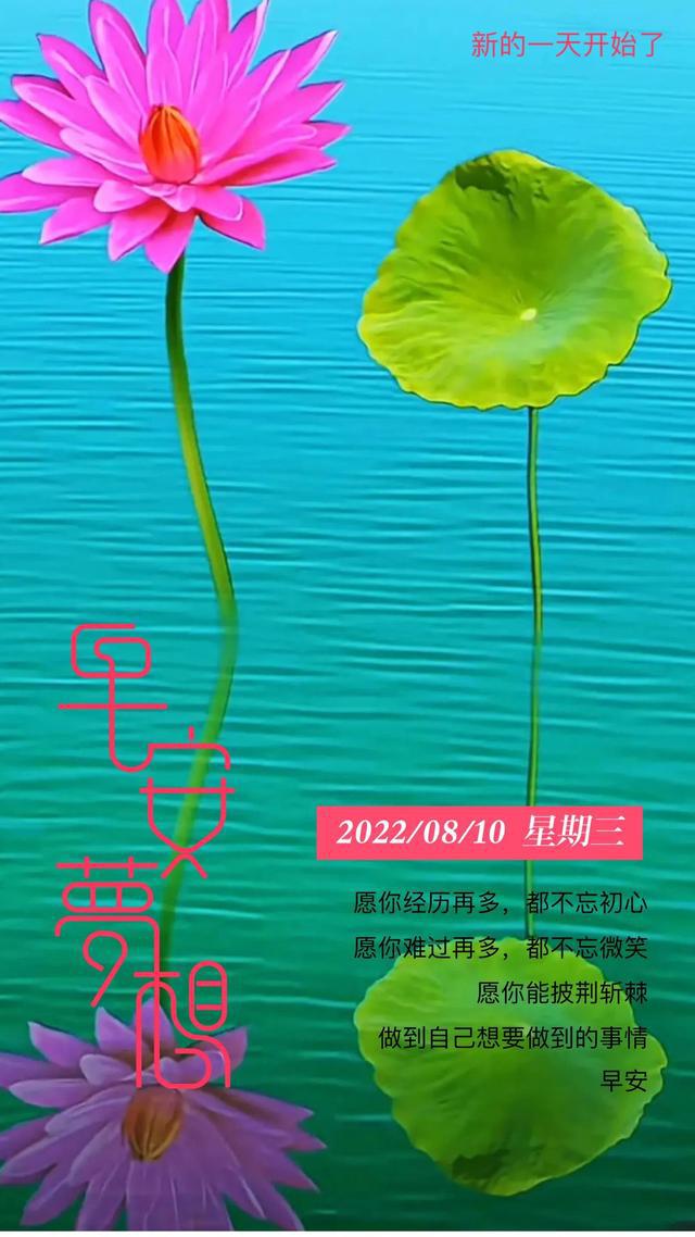 2024年10月28日 第7页