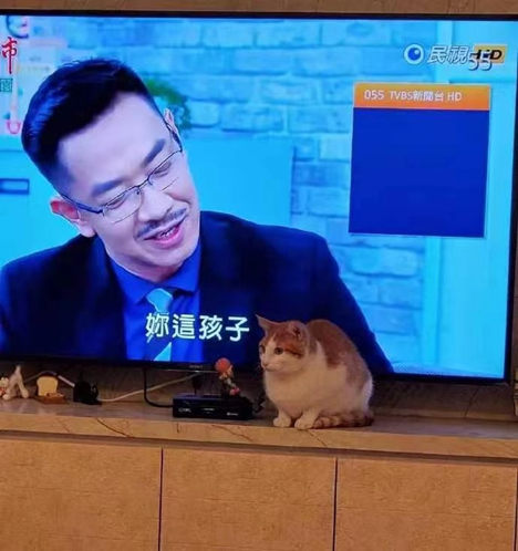 网红王波饮酒悲剧，网红文化中的饮酒现象与个人责任探讨