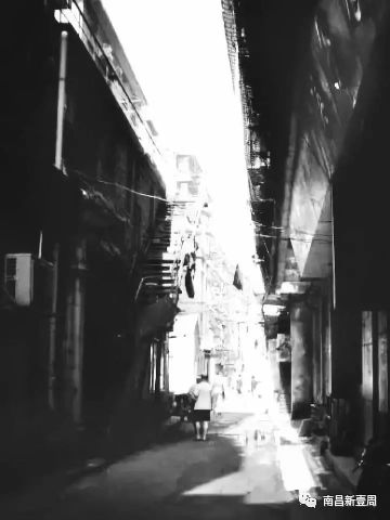 探秘巷弄新宠，29日最新具的隐藏魅力揭秘