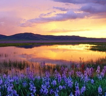 29日QQ头像新风尚，自然美景之旅，领略宁静之美