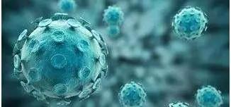 逃离最新病毒，自然美景的治愈之旅