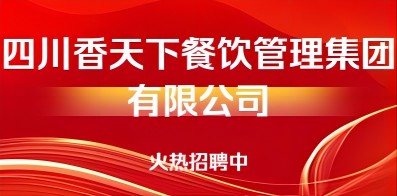 29日成都招聘网最新招聘解析，机遇与挑战探讨