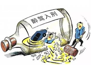 2024年10月29日 第29页