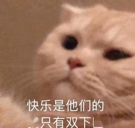 探秘小巷深处的隐藏宝藏，最新动态表情包专卖店发布动态更新