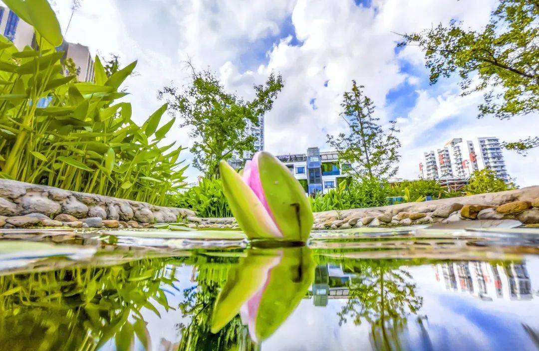 进阶用户必备，轻松完成任务的详细步骤教程——针对最新速递指南的实战指南（针对29日任务）